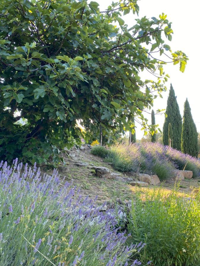 Villa Montanare Cortona Exterior photo